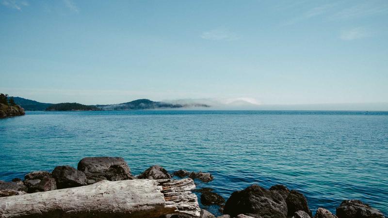 红桃影视.tv全新升级帧心好戏